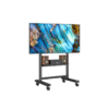 Rfiver MT5003 Mobile TV Cart