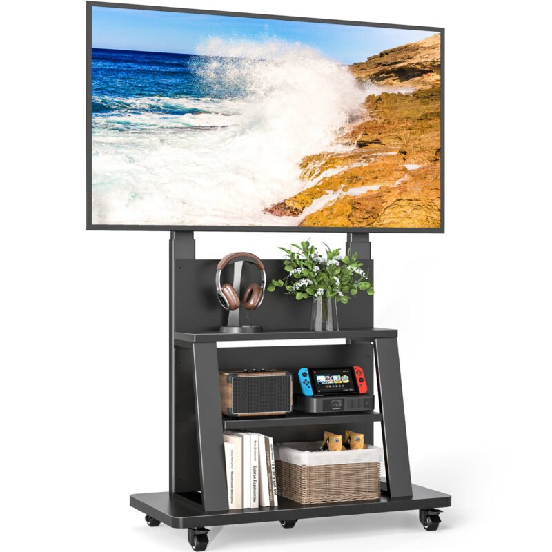 RFIVER MT6003 MOBILE TV CARTS